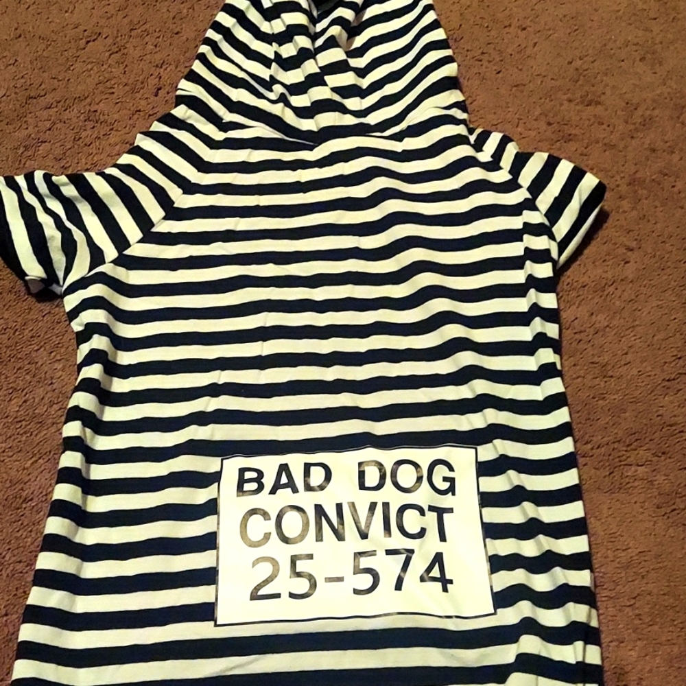 Dog hooded shirt